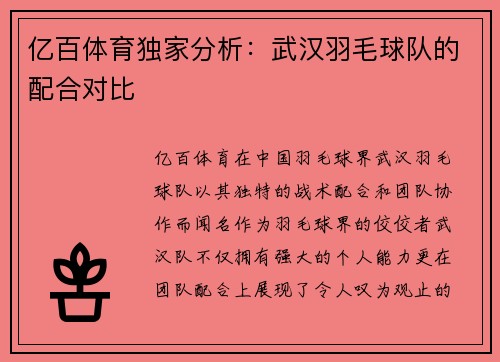 亿百体育独家分析：武汉羽毛球队的配合对比